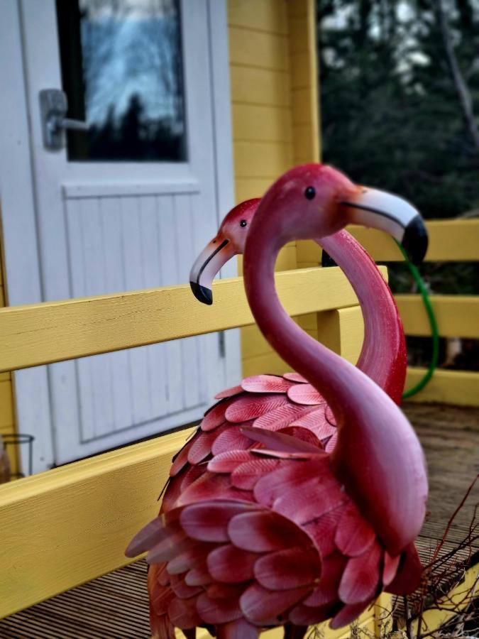 Kalda Lyngholt Villa Egilsstaðir Exteriör bild