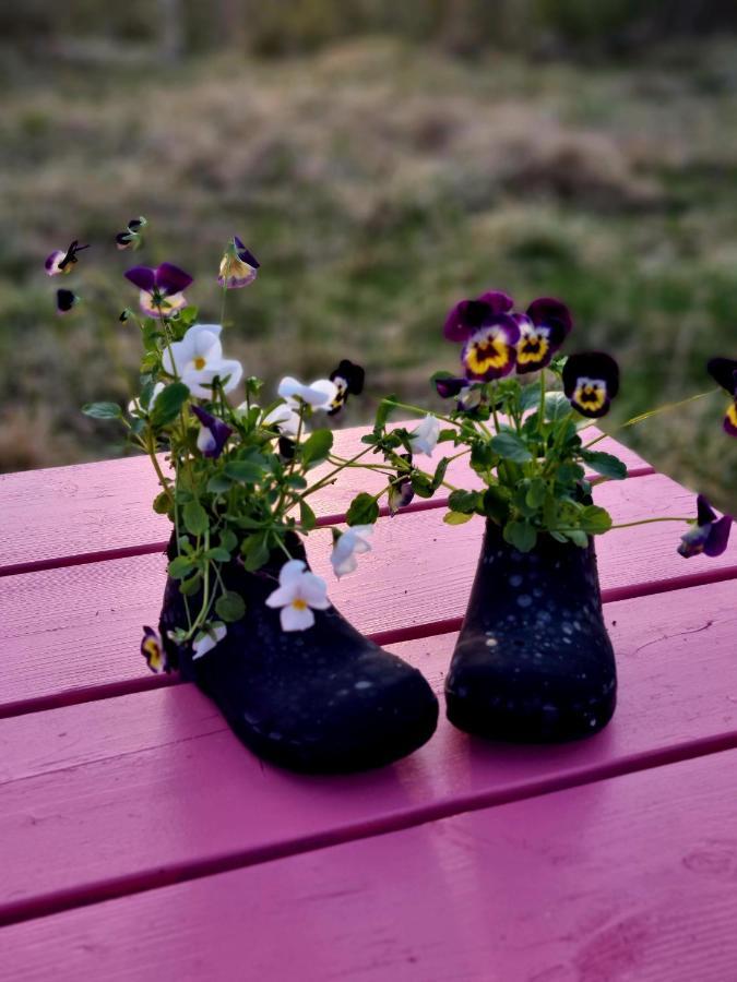 Kalda Lyngholt Villa Egilsstaðir Exteriör bild