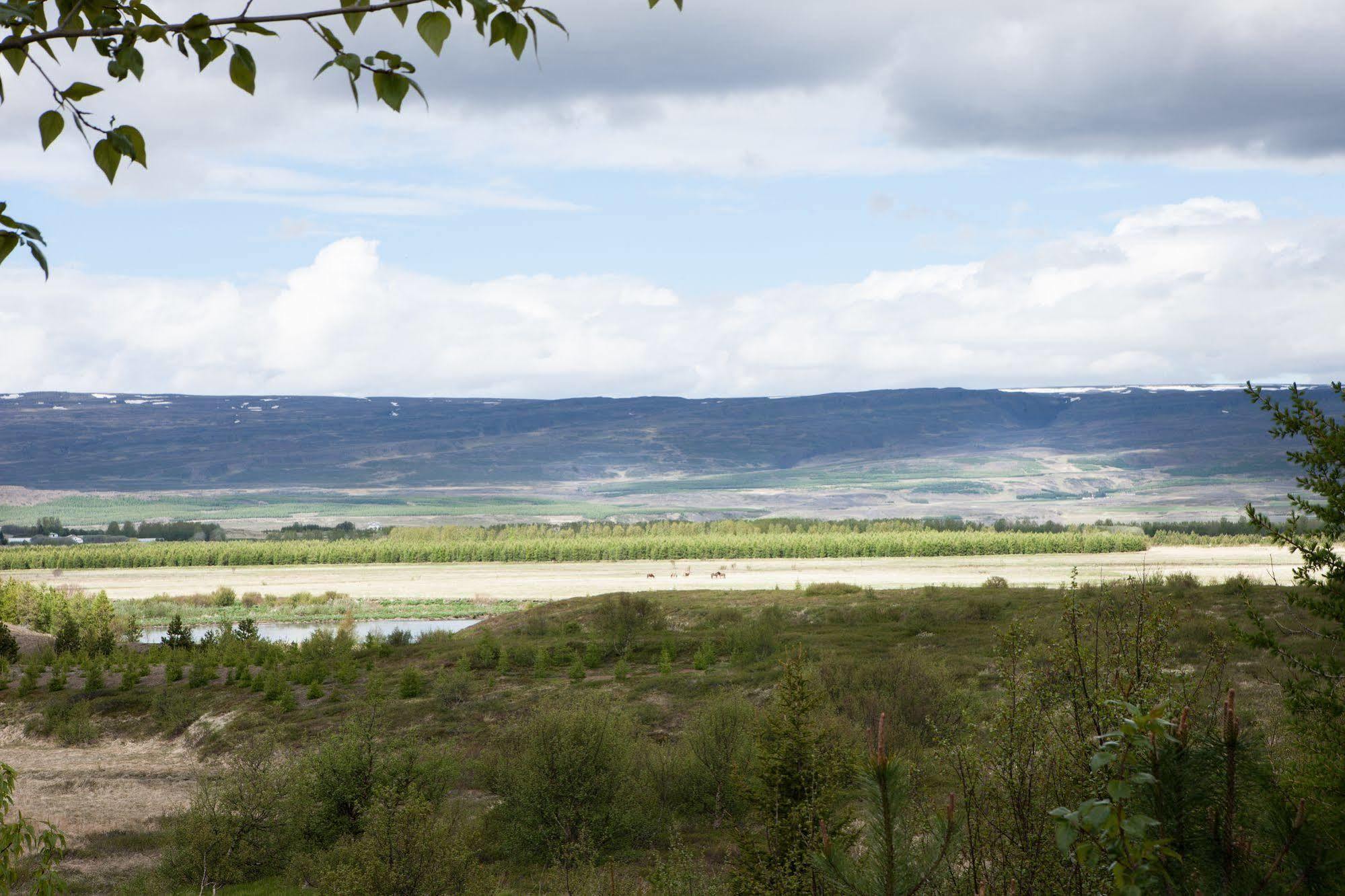 Kalda Lyngholt Villa Egilsstaðir Exteriör bild